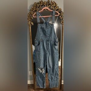 American Eagle Overalls in Medium